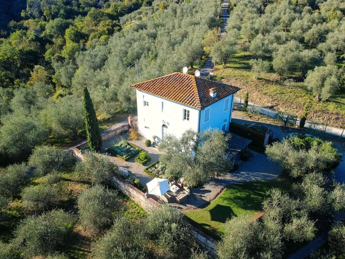 Villa Pardini Lucca Holiday home